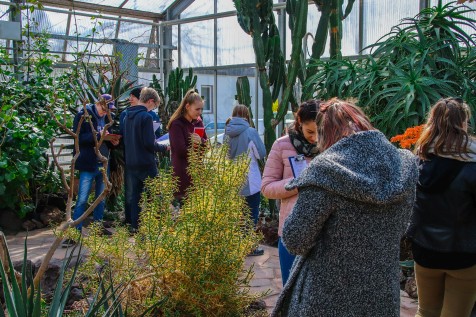 Botanischer Garten Chemnitz 04/2019