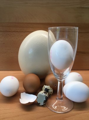 Grundschultag Physik 2022 - Experimente mit Eiern