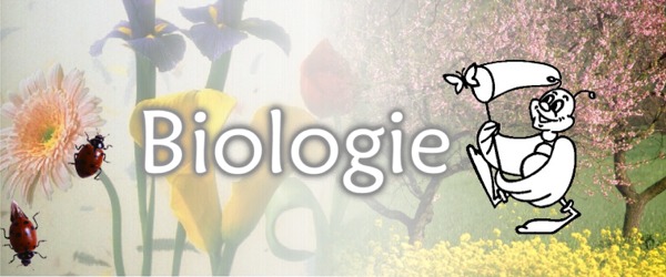 Banner Biologie
