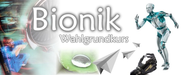 Bionik-Banner
