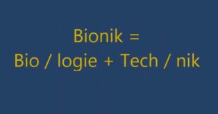 Zum Video Präsentation Bionik am JMG
